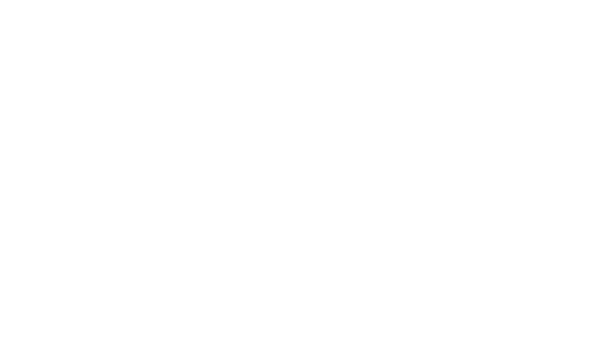 logo(3)